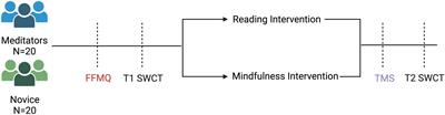 Effects of acute and long-term mindfulness on neural activity and the conflict resolution component of attention